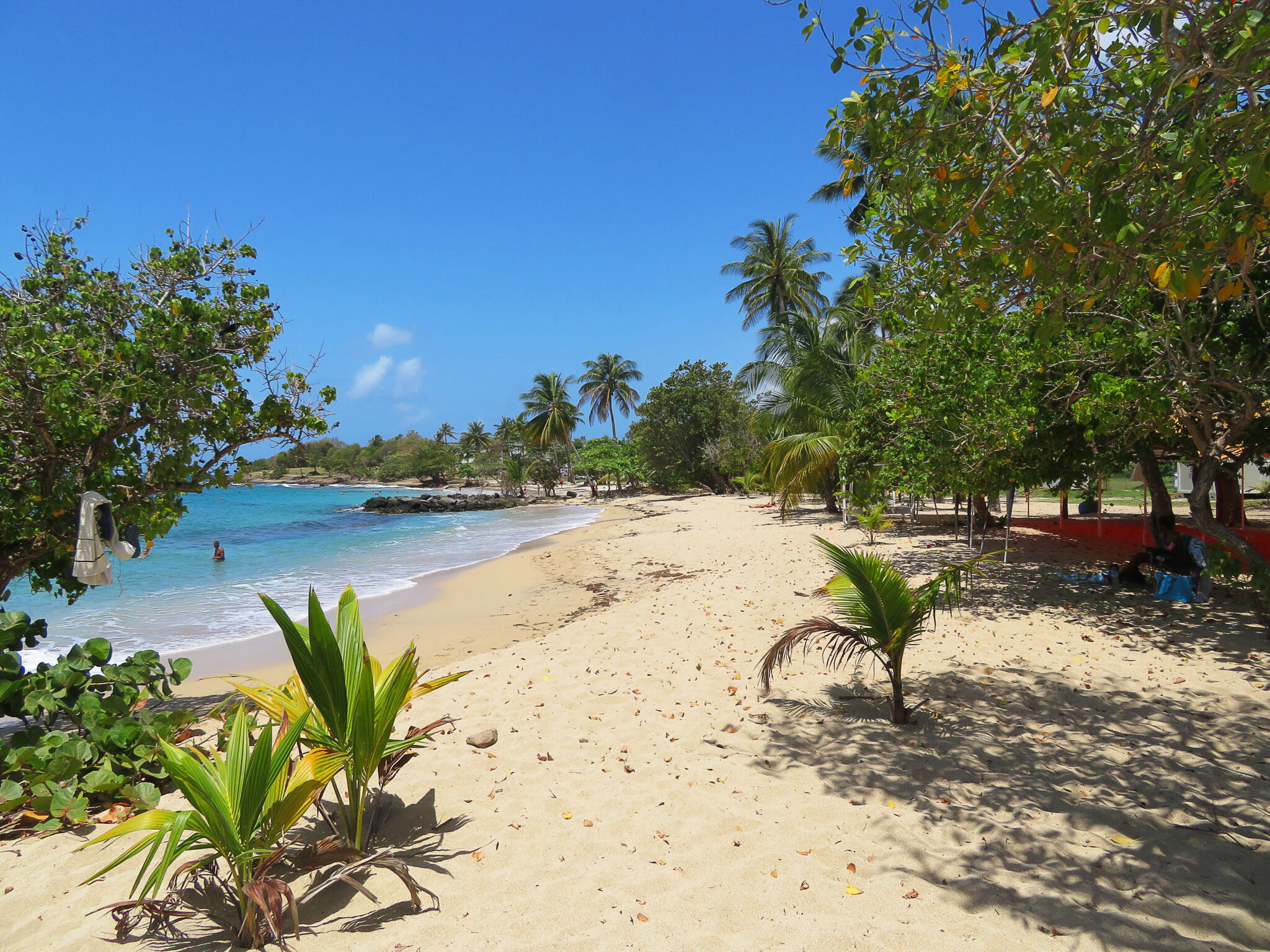 Les magnifiques plages de Sainte-Luce en Martinique